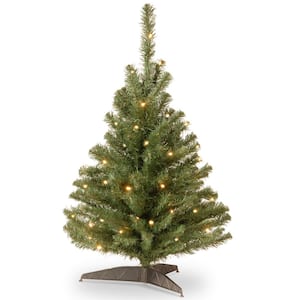 3 ft. Kincaid Spruce Artificial Christmas Tree with Clear Lights