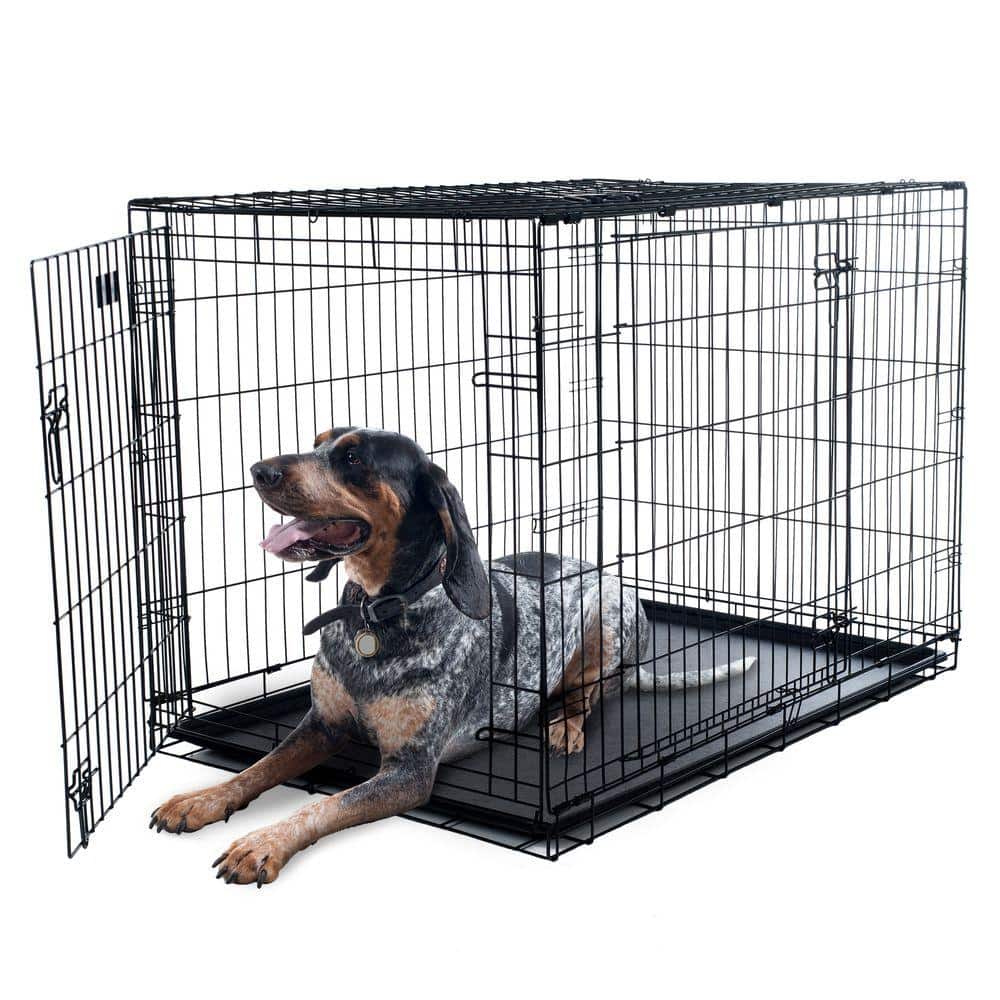 Extra Large Black Metal 2-Door Foldable Dog Crate Cage