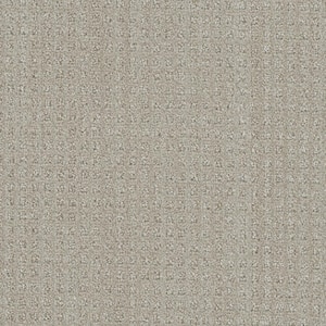 Dovetail - Notch - Beige 45 oz. SD Polyester Pattern Installed Carpet
