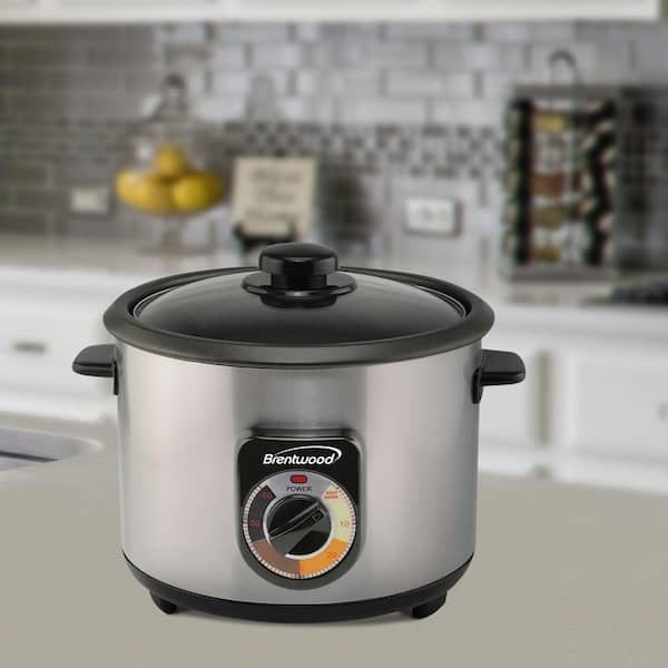 https://images.thdstatic.com/productImages/34d82c95-6c66-4ca7-87b7-e4fab25bfd3f/svn/silver-brentwood-appliances-rice-cookers-985115519m-31_600.jpg