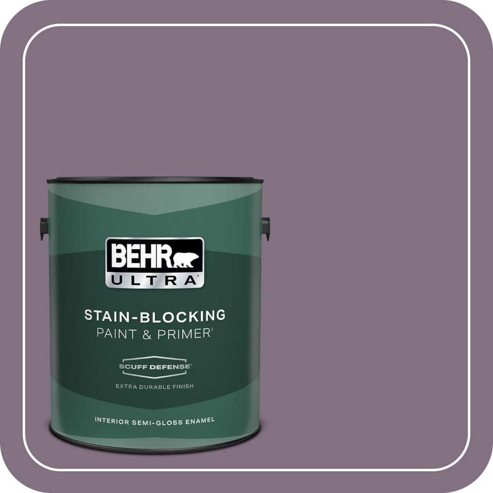 1 gal. Home Decorators Collection #HDC-SP14-9 Decorative Iris Extra Durable Semi-Gloss Enamel Interior Paint & Primer price history on PriceWatchPro