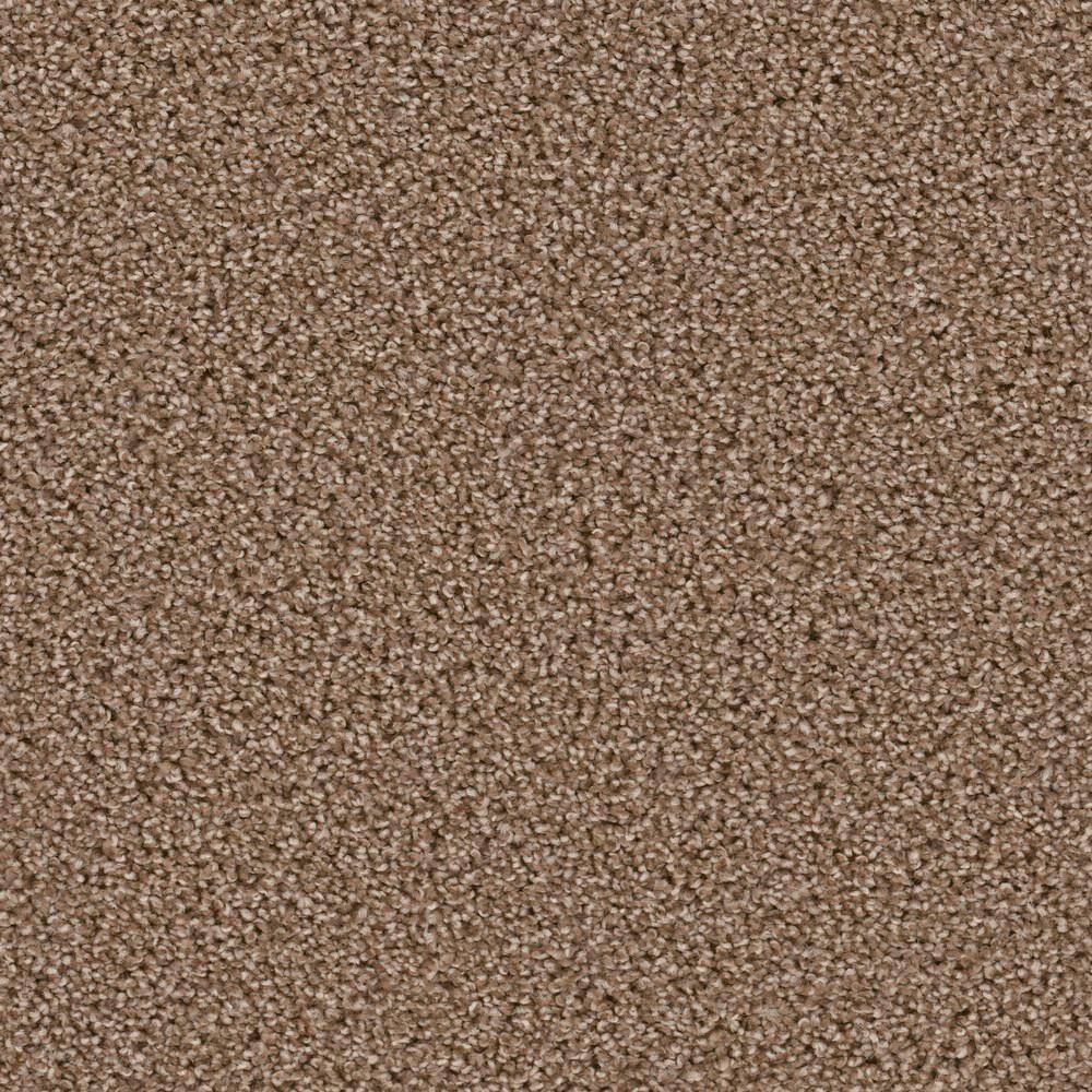 8 in. x  8 in. Texture Carpet Sample - Happy Chance -Color Cheerful price history on PriceWatchPro