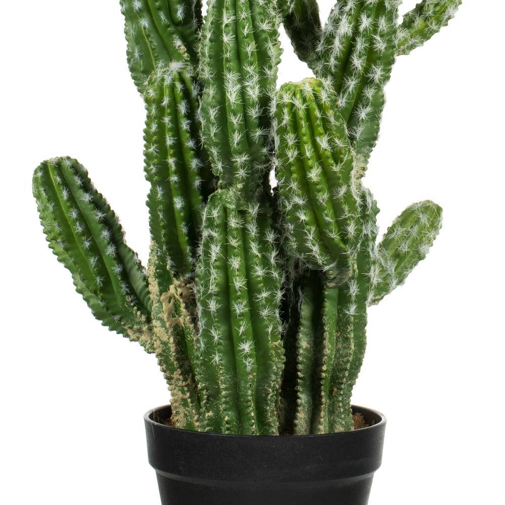 Tiny Green Faux Cactus in Black Plastic Pot