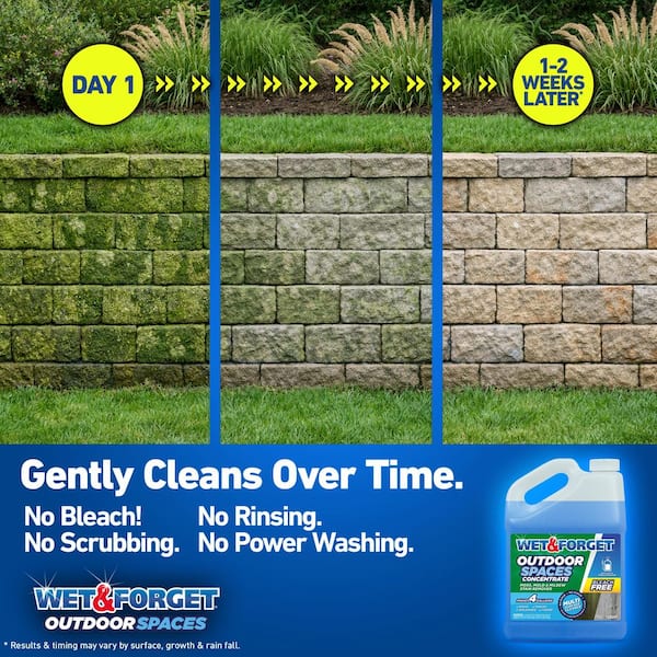 1 Gallon Concentrate Moss Mold Mildew Stain Remover