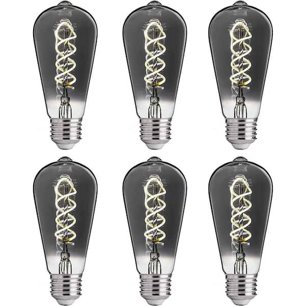 FLSNT 40-Watt Equivalent ST19 Dimmable Vintage Decorative LED Edison Bulbs, 5000K, E26 Base, 150LM, Smoky Grey Glass, 6 Pack