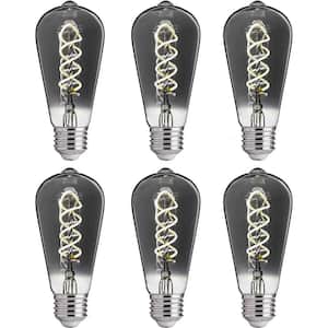 40-Watt Equivalent ST19 Dimmable Vintage Decorative LED Edison Bulbs, 5000K, E26 Base, 150LM, Smoky Grey Glass, 6 Pack