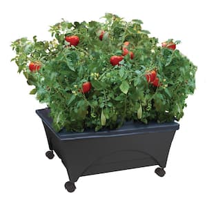 20 in. x 24 in. Charcoal Resin Indoor/Outdoor City Picker Raised Bed Grow Box, Self-Watering, Improved Aeration, Casters