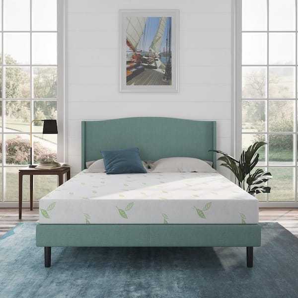 NapQueen Anula Queen Medium Green Tea Memory Foam 6 in. Mattress