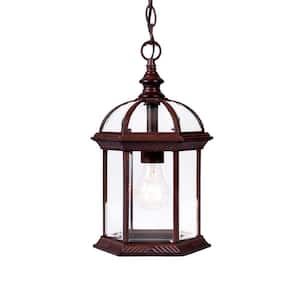 Dover Collection 1-Light Burled Walnut Outdoor Hanging Lantern