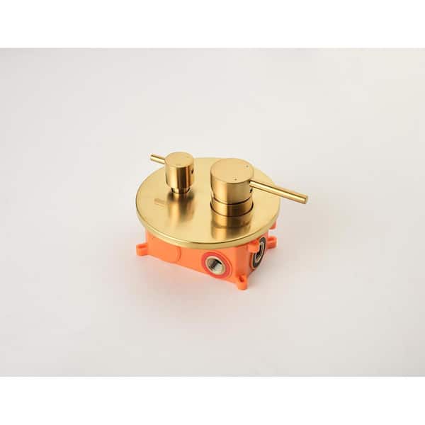Single Handle 2-Spray Shower Faucet 2.0 GPM with Pressure
