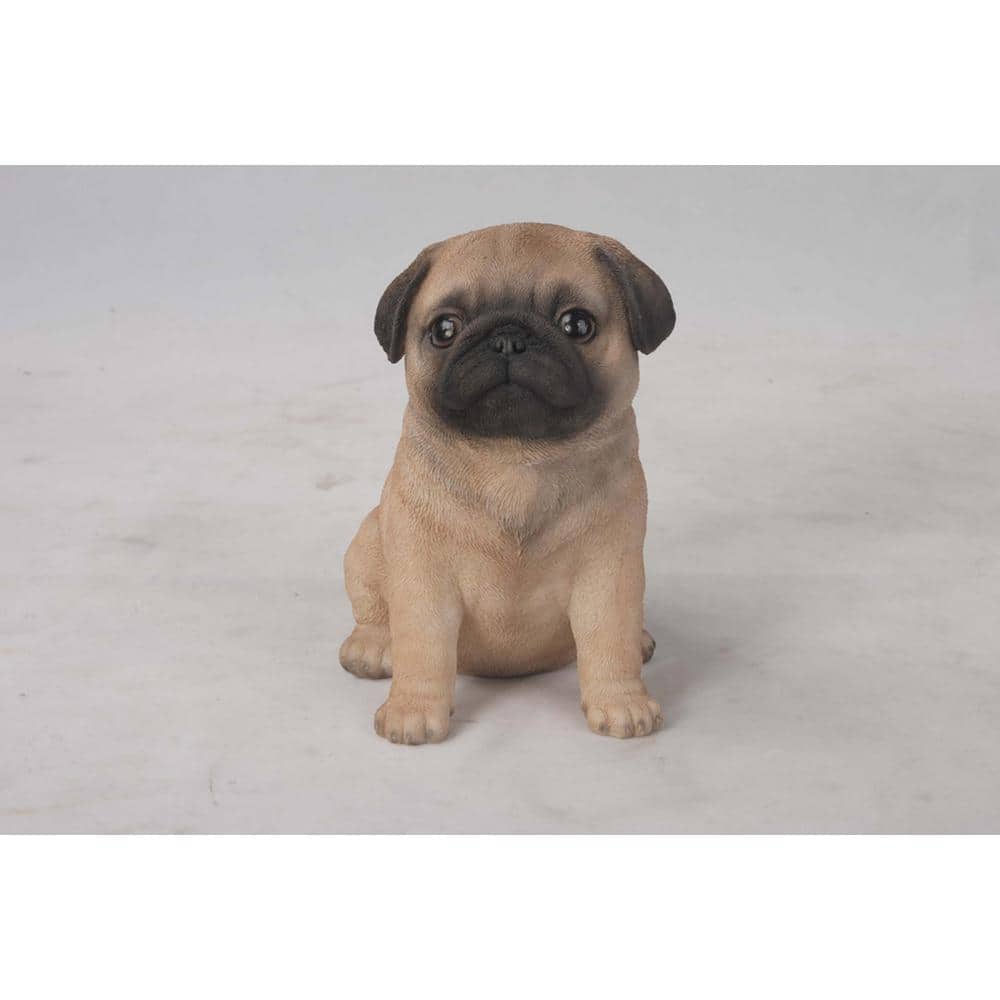 Realistic Tan and Black Sitting Pug Puppy Statue