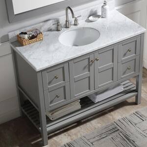 48 in. W x 22 in. D x 35 in. H Bath Vanity Cabinet without Top in Gray Color