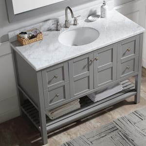 48 in. W x 22 in. D x 35 in. H Bath Vanity Cabinet without Top in Gray Color