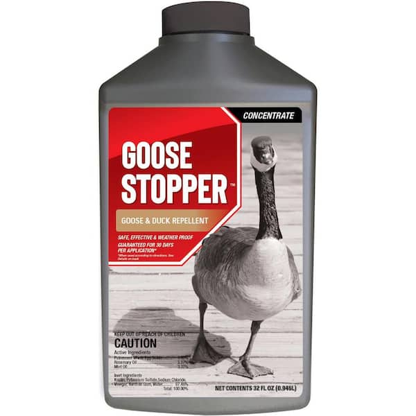 ANIMAL STOPPER Goose Stopper Animal Repellent, 32 oz. Concentrate