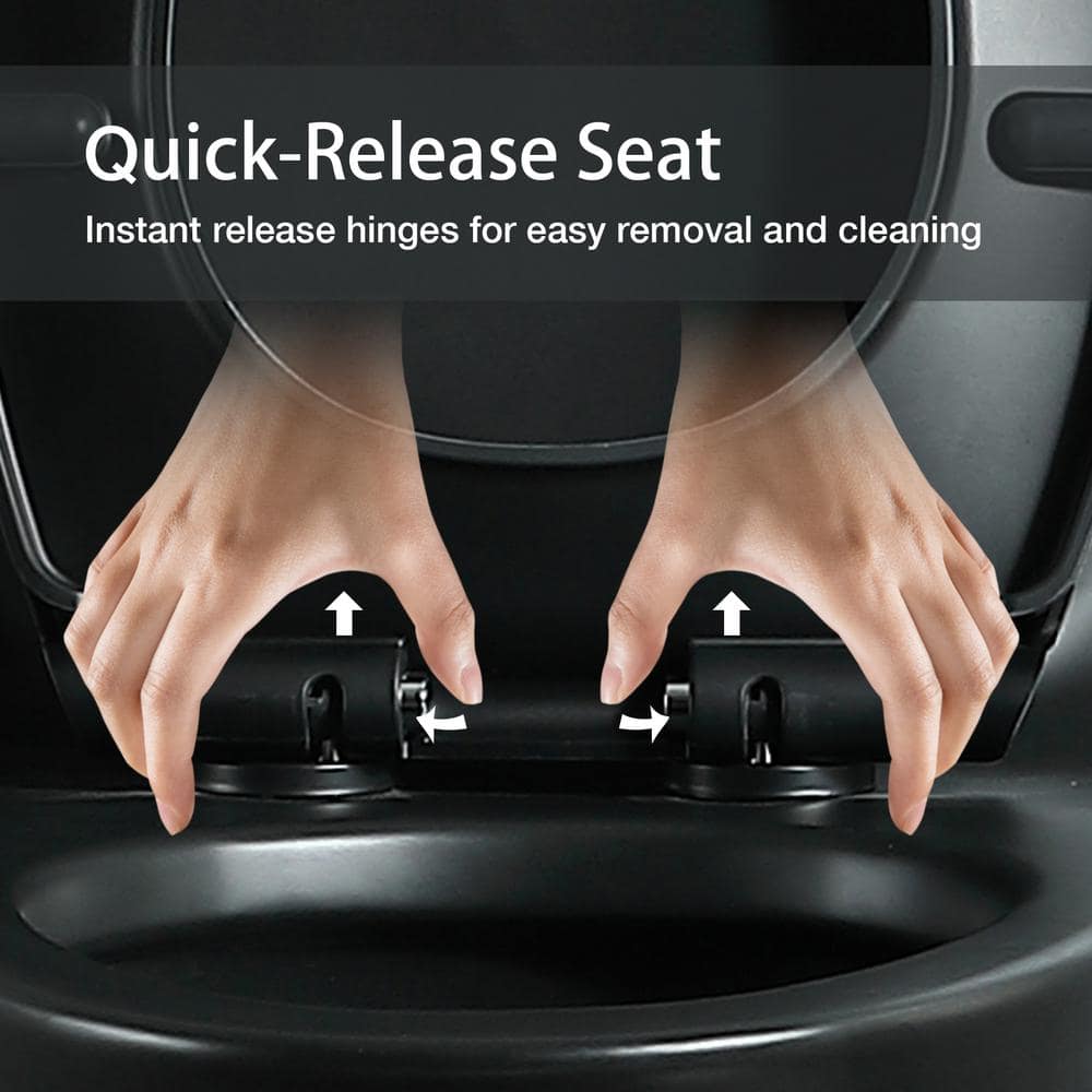 Matte Black Ceramic Dual-Flush Elongated One-Piece Toilet
