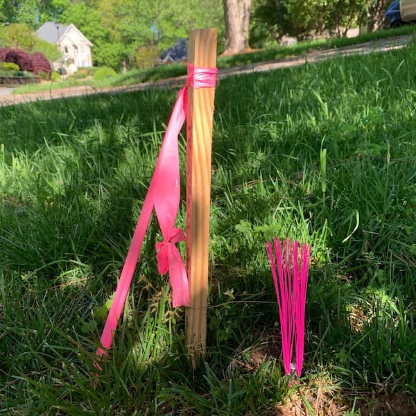 Trail Chasers 6 in. Pink Ground Markers - Whiskers and Stakes (25