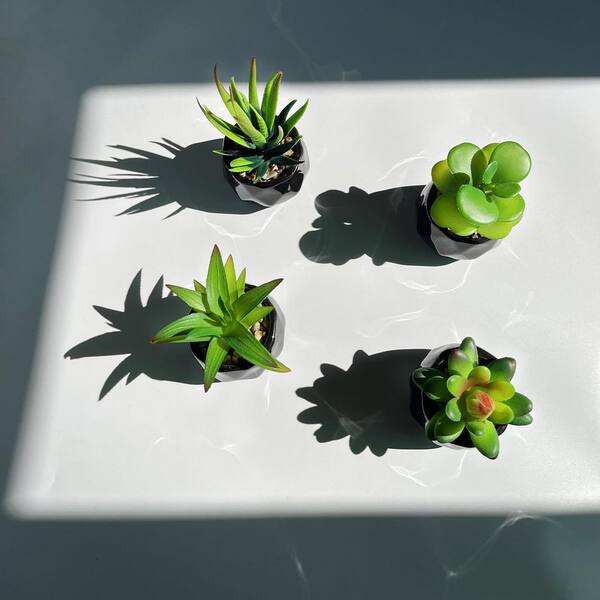 5.47 in. Black Ceramic Indoor Artificial Succulent Plant Set 4