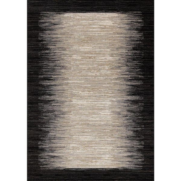 Aethera Collections 8' x 11' (7'10" x 10'10") Black Border, Distressed Indoor Area Rug