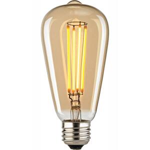 Filament Medium LED Bulb With Light Gold Tint
