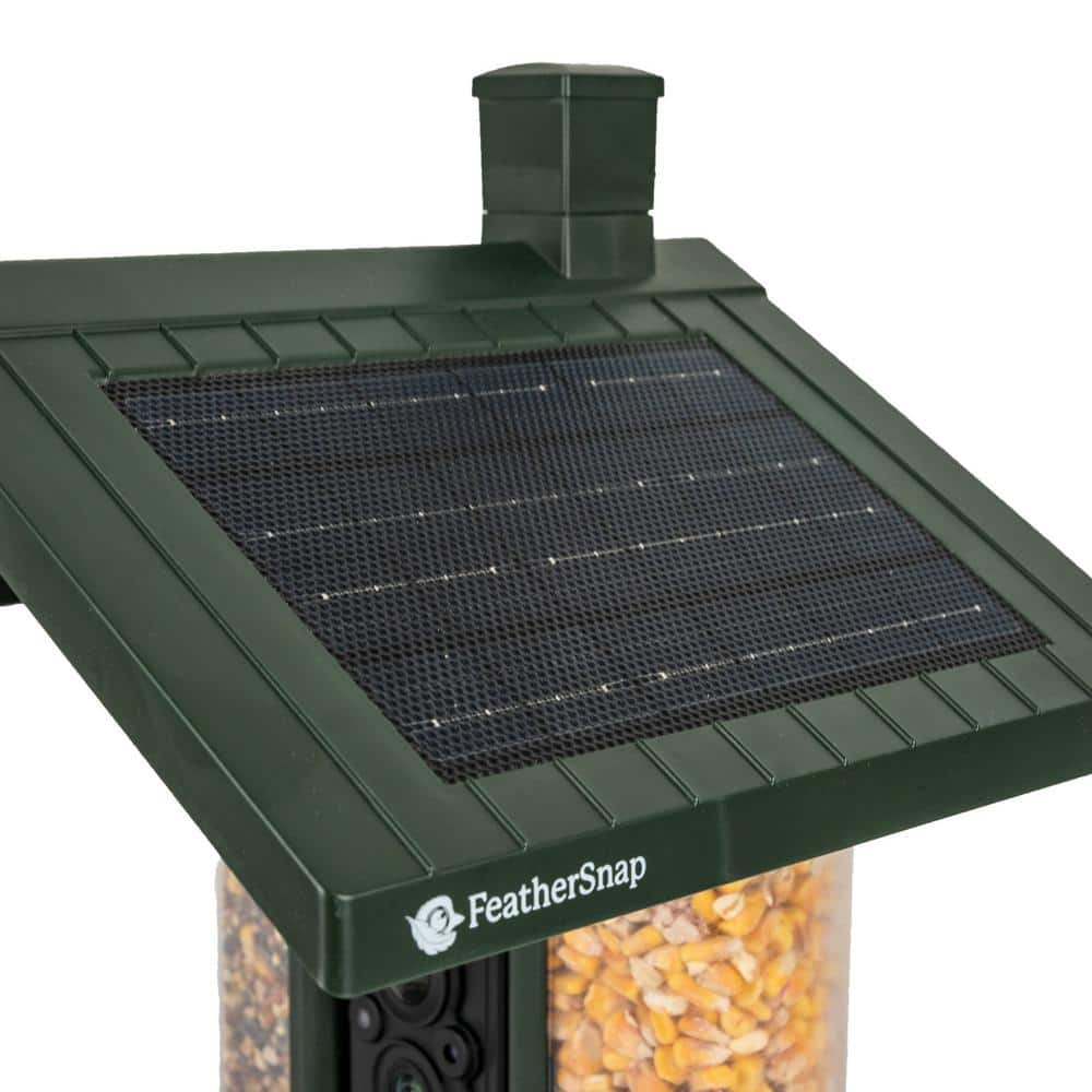 FeatherSnap Scout Wi-Fi Solar-Powered Hanging Tube Bird Feeder