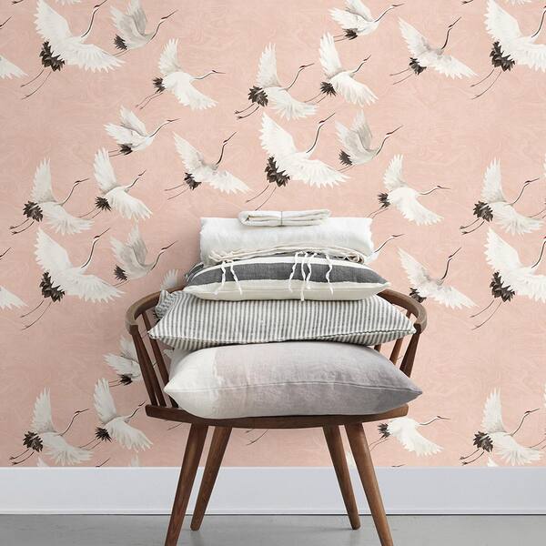 Animal Print Wallpaper & Feather Wallpaper