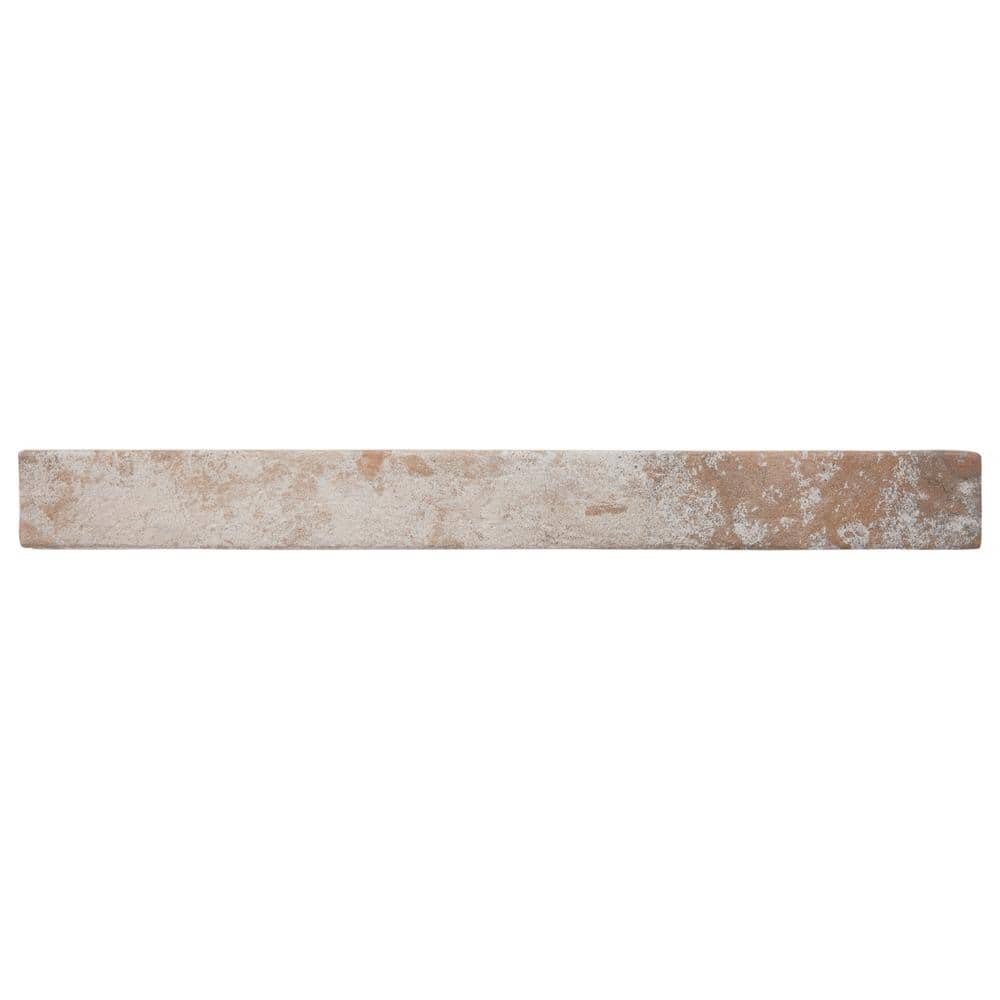 Scotch White 1.88 in. x 0.37 in. Matte Porcelain Floor and Wall Tile Sample price history on PriceWatchPro