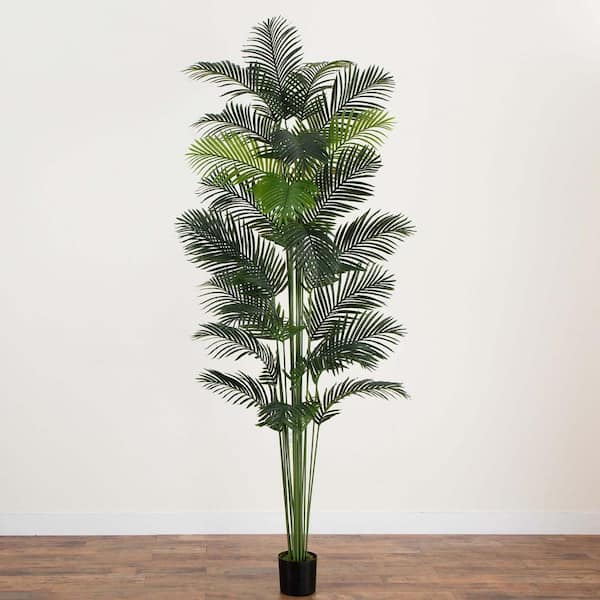 Paradise Floor Palm discount Tree in Planter