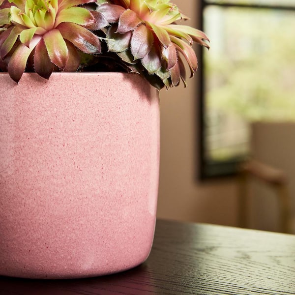 Vigoro Maisy Small Pink Ceramic Indoor Planter (5.1 in. L x 5.1 in