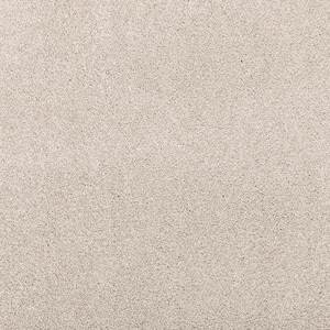 8 in. x 8 in. Texture Carpet Sample - Plush Dreams II -Color Subtle