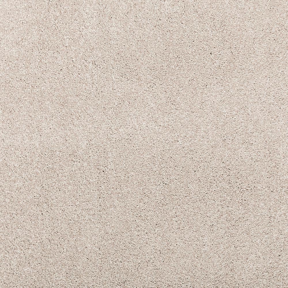 8 in. x 8 in. Texture Carpet Sample - Plush Dreams I -Color Subtle price history on PriceWatchPro