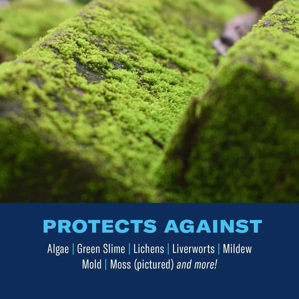 BioAdvanced 32 oz. 2-in-1 Moss and Algae Killer Concentrate