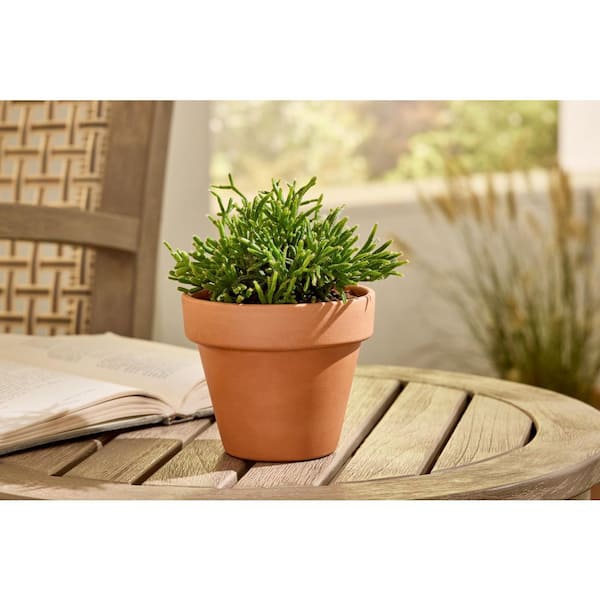 Extra Small Terracotta Clay Pot with Drainage Holes (4 in. L x 4 in. W x 4 in. H)