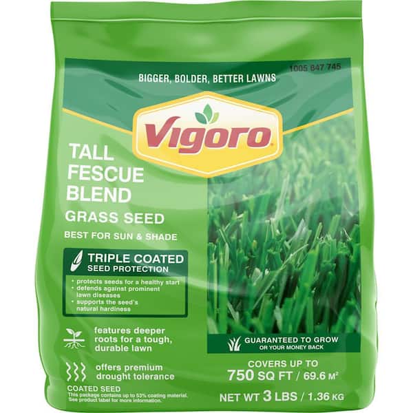 Vigoro 3 lbs. Tall Fescue Grass Seed Blend