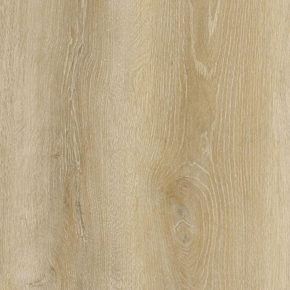Take Home Sample-Dusk Cherry Glue Down Waterproof Luxury Vinyl Plank Flooring price history on PriceWatchPro