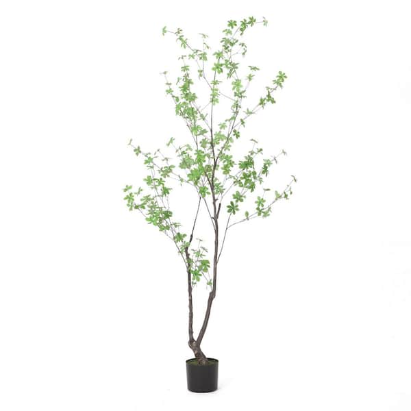 Noble House Coles 6 ft. Artificial Other Enkianthus Tree