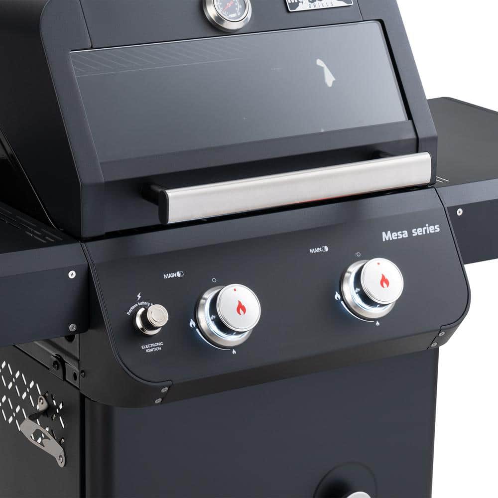 Mesa Black 2-Burner Stainless Steel Propane Gas Grill with LED Controls
