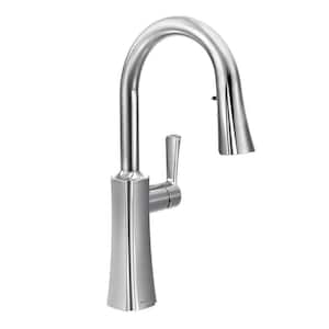 Etch Single-Handle Pull-Down Sprayer Kitchen Faucet with Reflex and Power Clean in Chrome