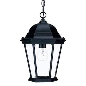 Richmond Collection 1-Light Matte Black Outdoor Hanging Lantern