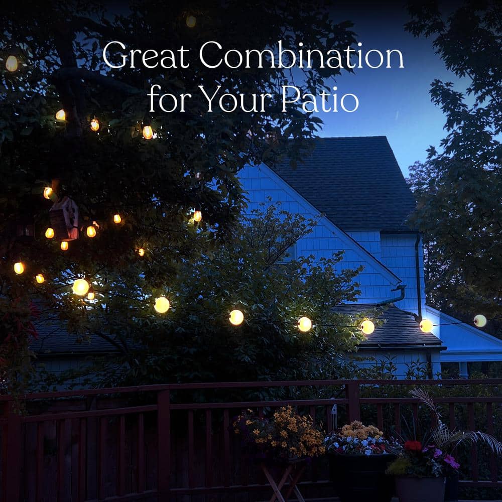 Warm White LED Globe Outdoor String Lights, 30 ft