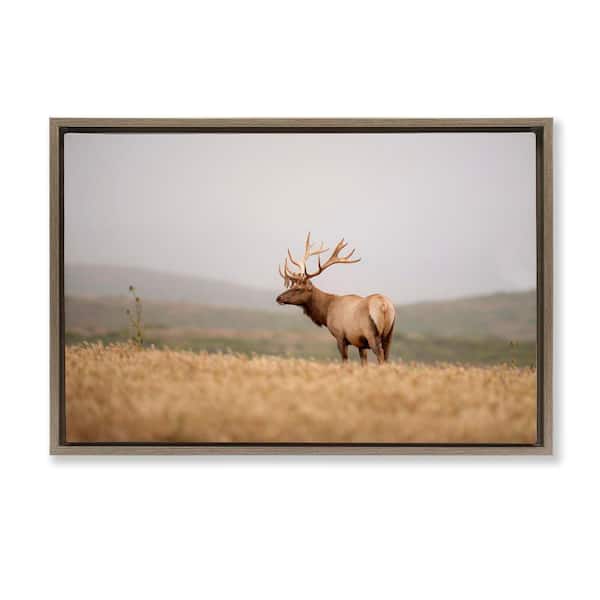Stupell Industries Tule Elk Photography by Crystal Lynn Collins Brown Floater Frame Nature Graphic Art Print 21 in. x 31 in.