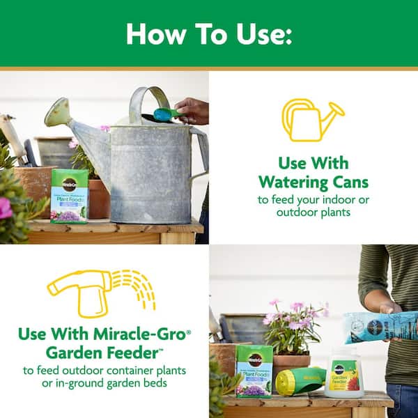 Miracle-Gro Water-Soluble 1.5 lb. Azalea Camellia and Rhododendron