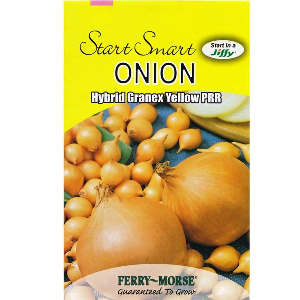 Ferry-Morse Onion Hybrid Granex Yellow PRR Seed 2041 - The