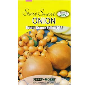 Onion Hybrid Granex Yellow PRR Seed