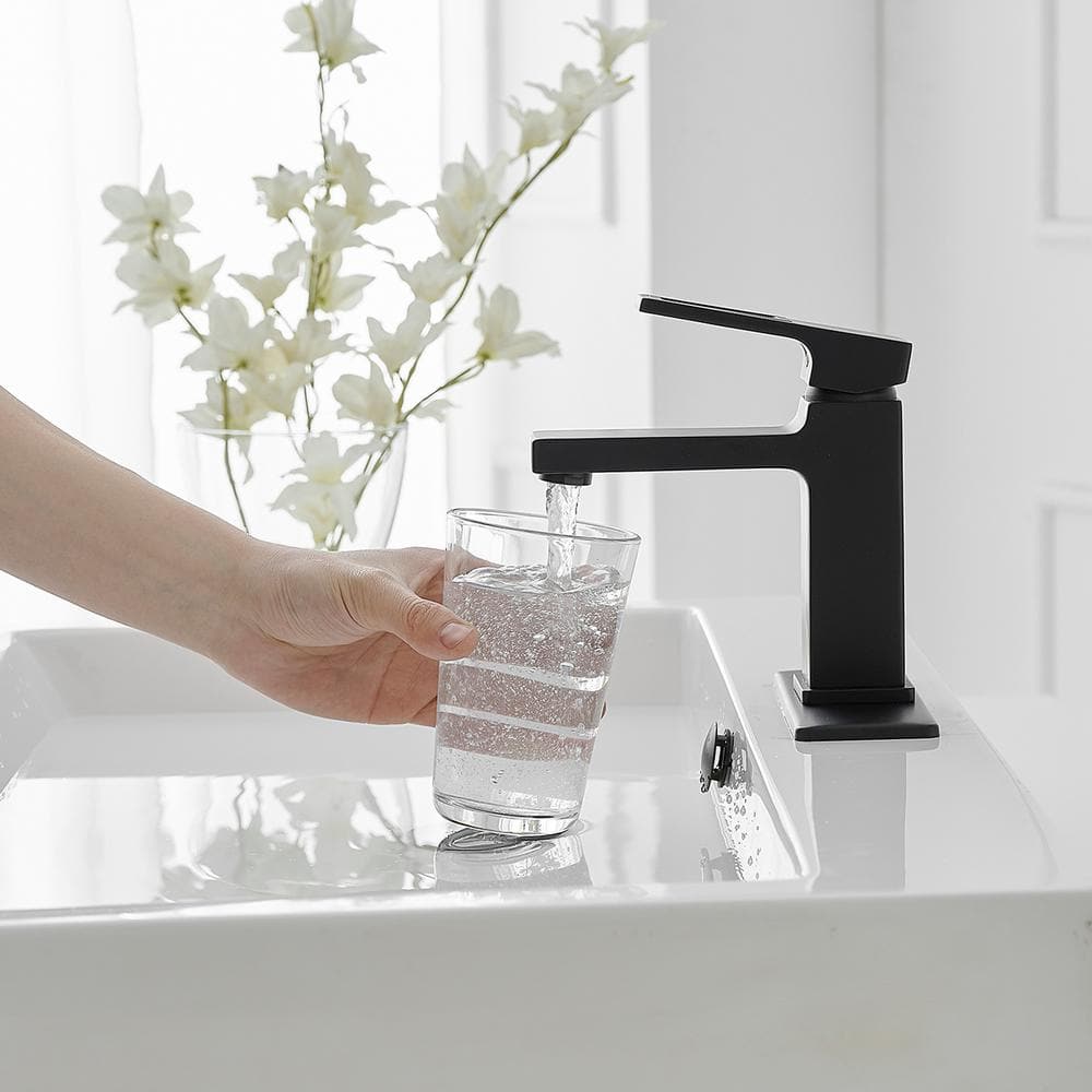 Matte Black Single-Handle Bathroom Faucet with Drain Assembly