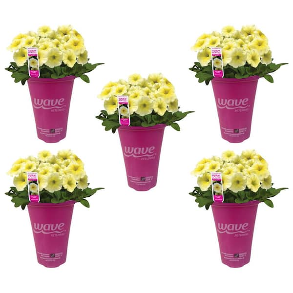 EASY WAVE 1.5 pt. Yellow Easy Wave Petunia Annual Plant with Light Yellow Flowers (5-Pack)