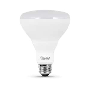 65-Watt Equivalent BR30 Dimmable CEC ENERGY STAR Enhance 90+ CRI E26 Flood LED Light Bulb, Daylight 5000K (54-Pack)