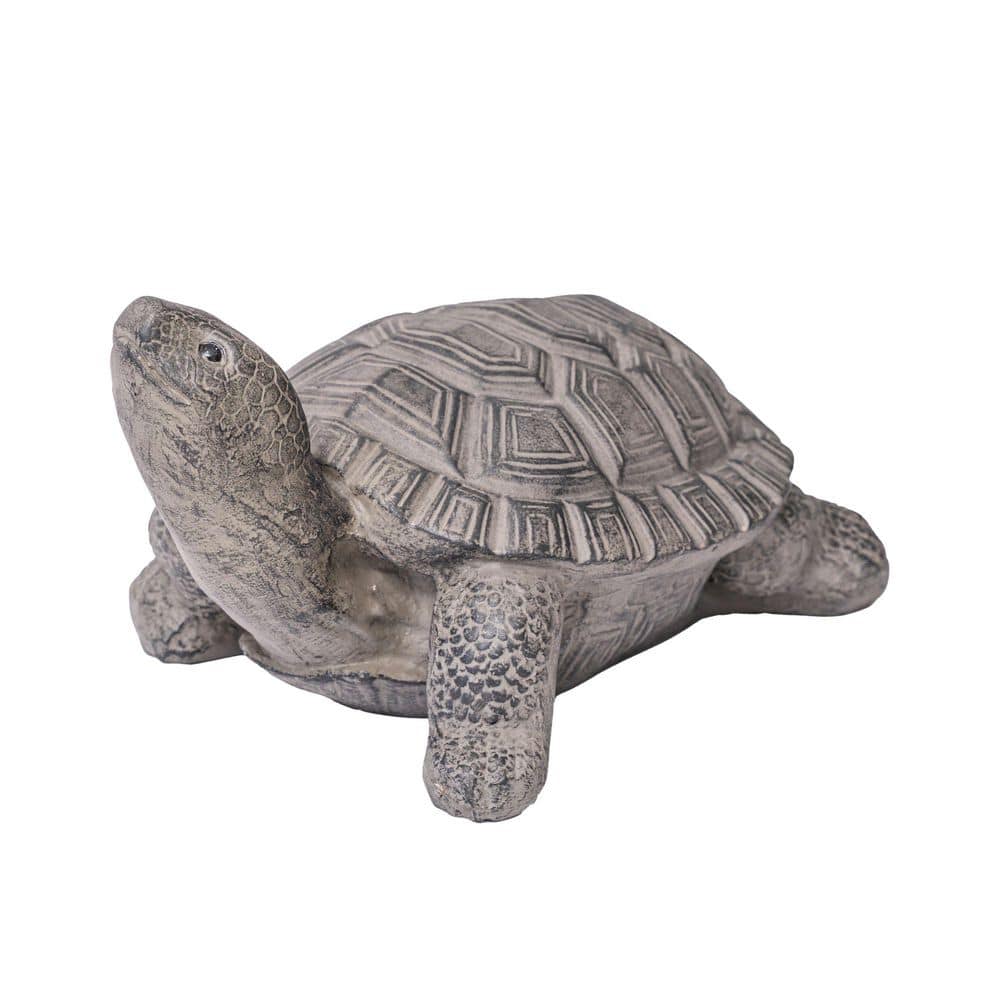 Gray Turtle megaball 50% 羅本製所 OZWRT 他 XBRAND 23.82
