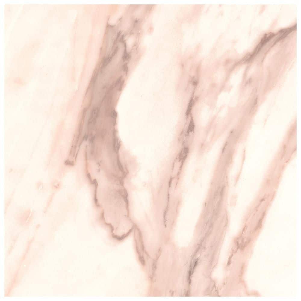 Reve Rose 6 in. x 6 in. Porcelain Floor and Wall Take Home Tile Sample price history on PriceWatchPro