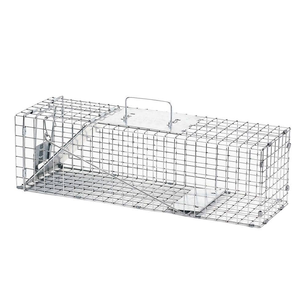 Humane Live Animal Trap for Kitten Possum Squirrel Rabbit Groundhog Mole Gopher, 24inch Live Traps for Smaller Animals Outdoor Indoor Collapsible