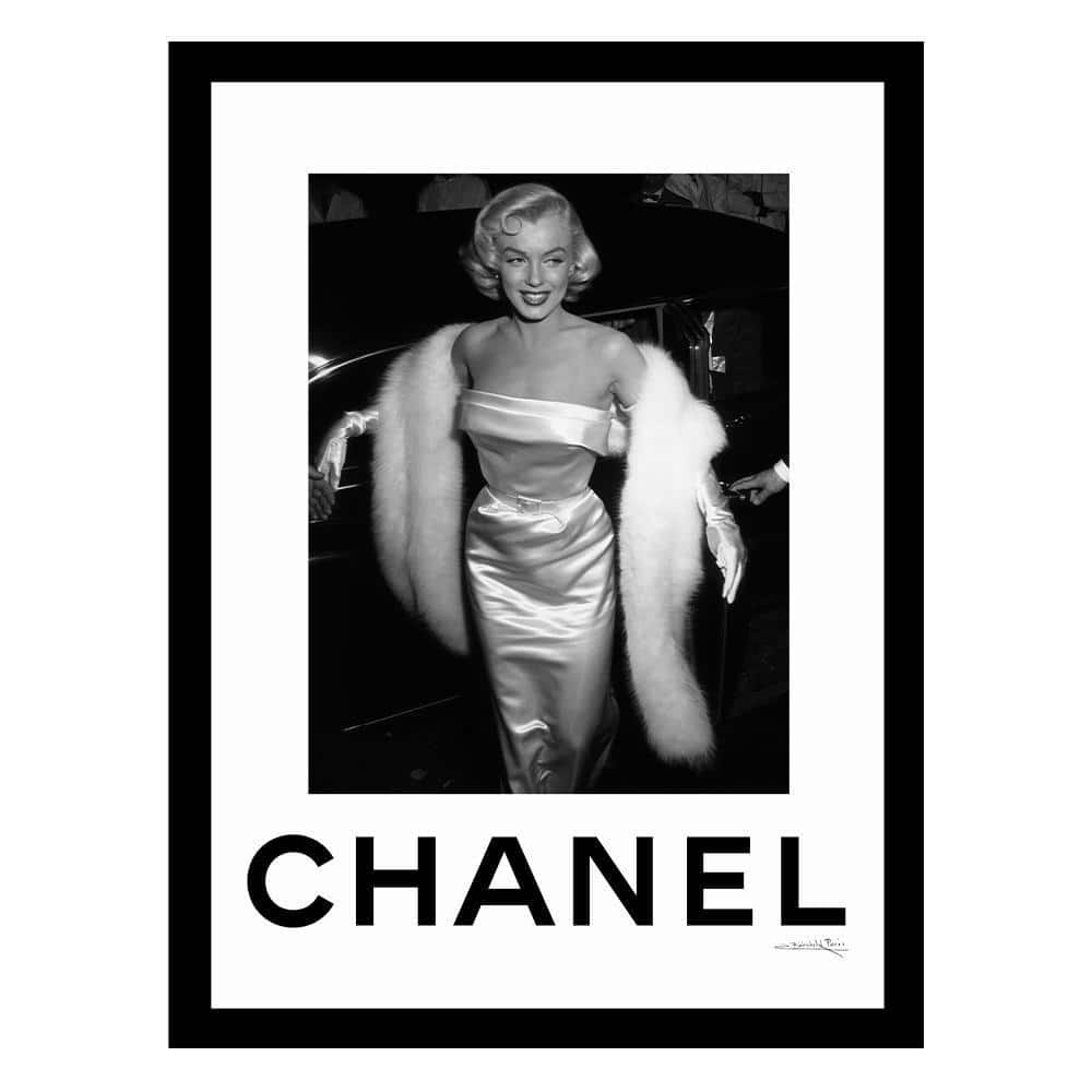 Marilyn Monroe in Fur Designer Fashion by Fairchild Paris Framed Graphic Print People Poster Art Print 18 in. x 14 in. price history on PriceWatchPro